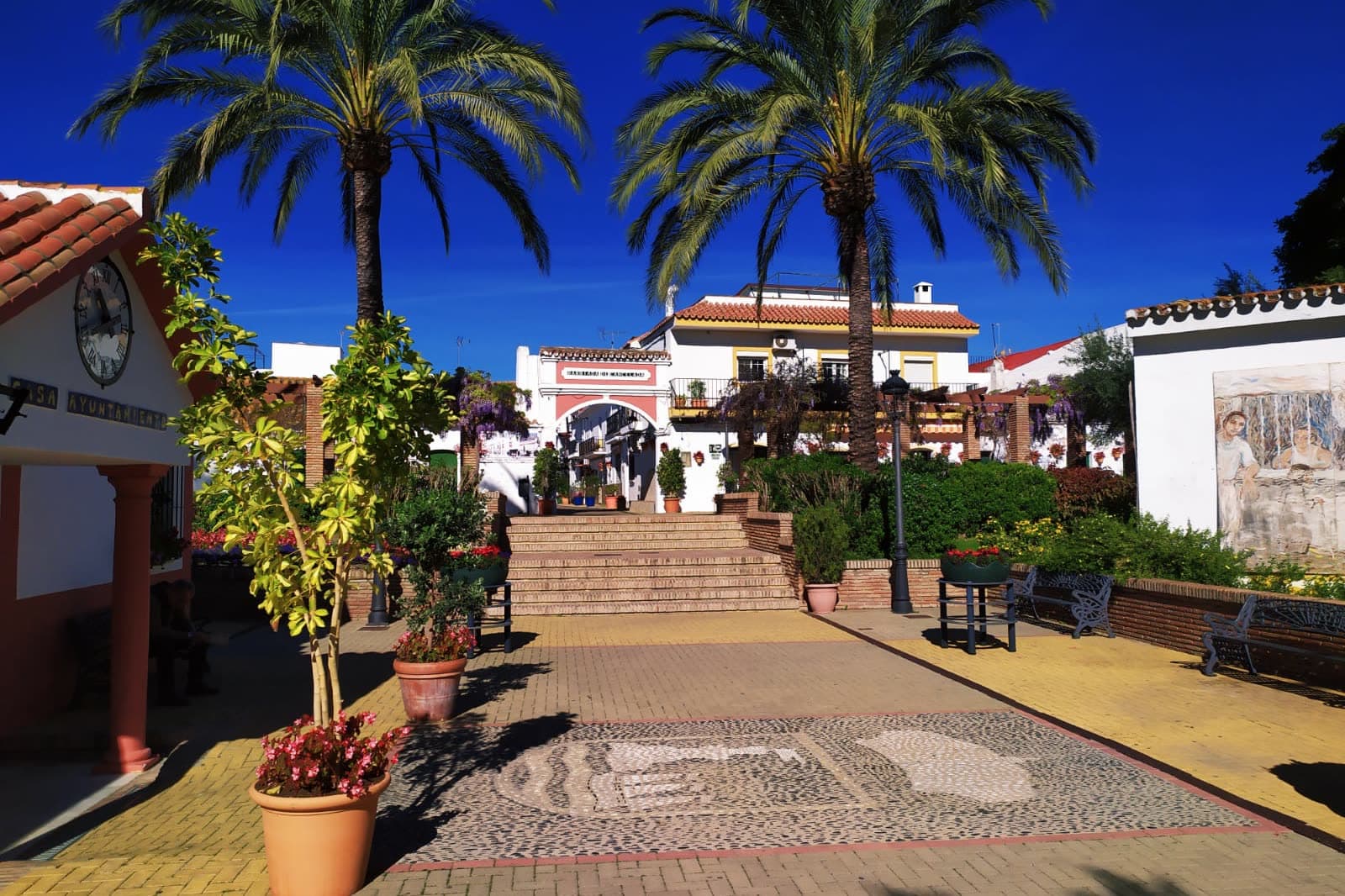 Plaza José Vázquez in Cancelada village, with palm trees, potted plants and whitewashed buildings